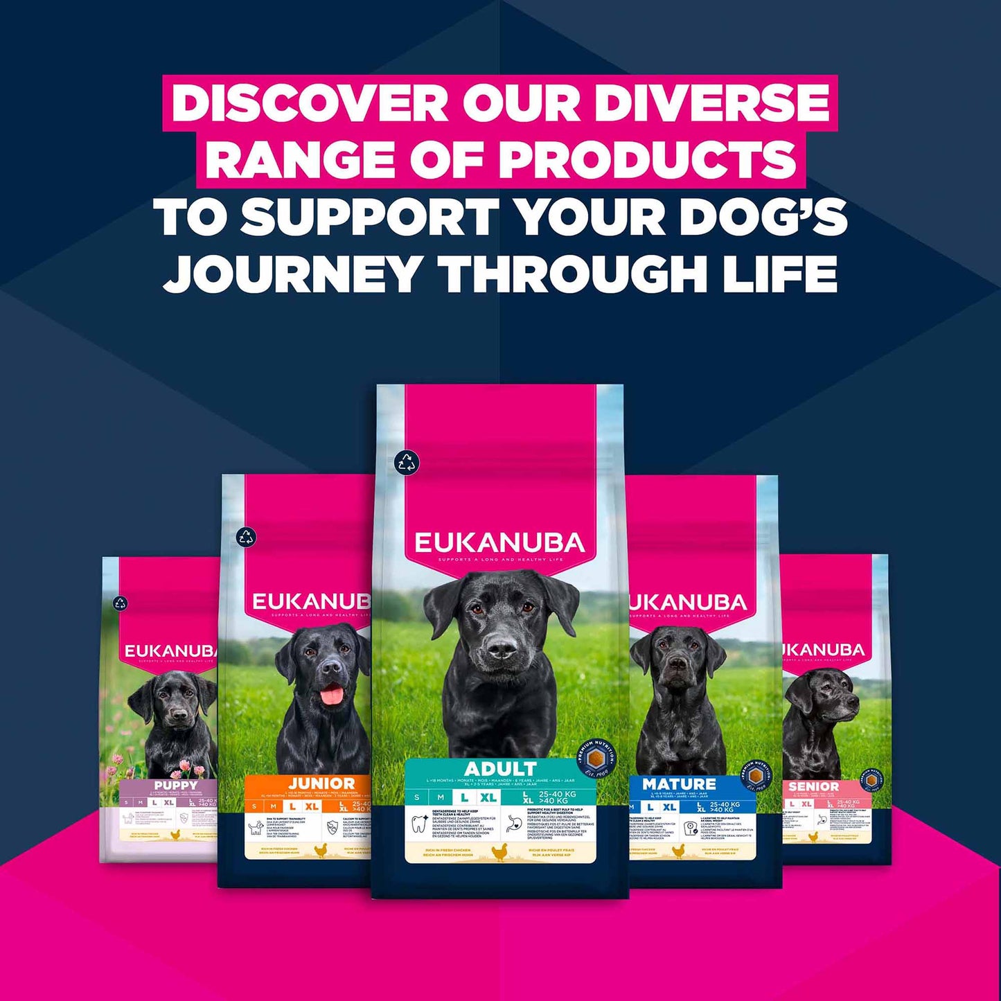 Eukanuba Large Breed Senior Dry Dog Food - Chicken