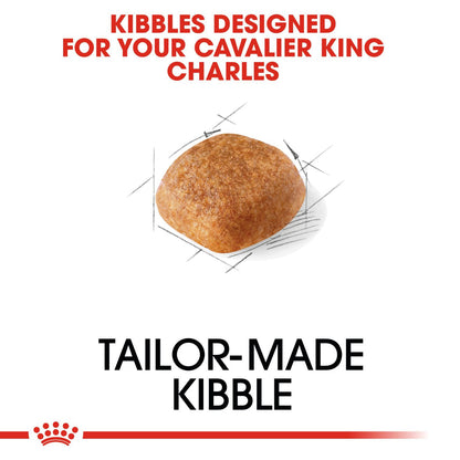 Royal Canin Breed Health Nutrition Cavalier King Charles Adult Dry Dog Food