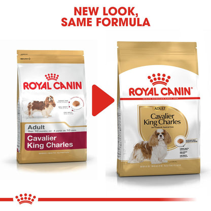 Royal Canin Breed Health Nutrition Cavalier King Charles Adult Dry Dog Food