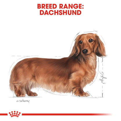 Royal Canin Breed Health Nutrition Dachshund Adult Dry Dog Food