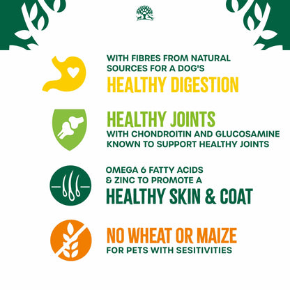 James Wellbeloved Senior Dry Dog Food - Fish & Rice