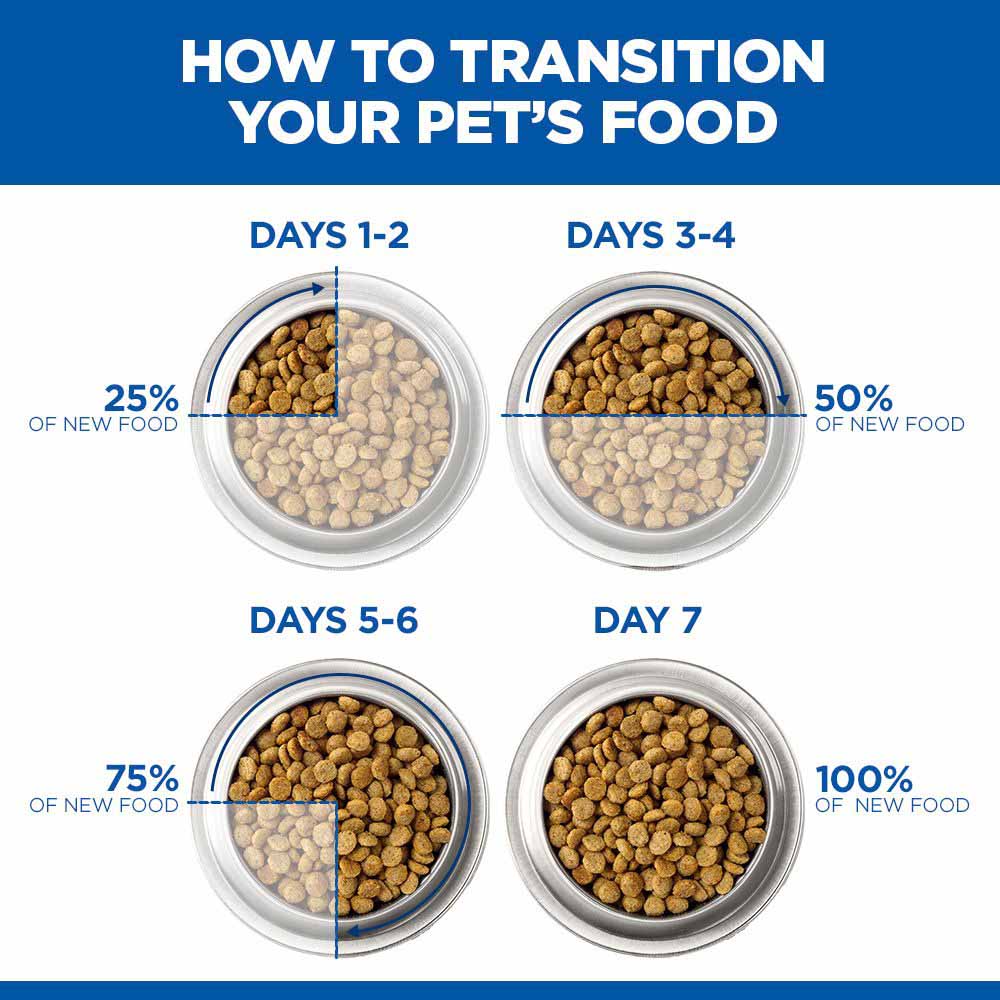Hills Science Plan Perfect Digestion Adult Dog Food - Chicken & Vegetable - 12x363g cans