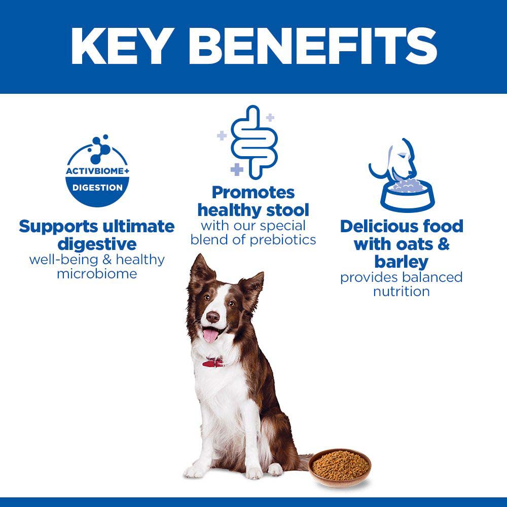 Hills Science Plan Perfect Digestion Adult Dog Food - Chicken & Vegetable - 12x363g cans