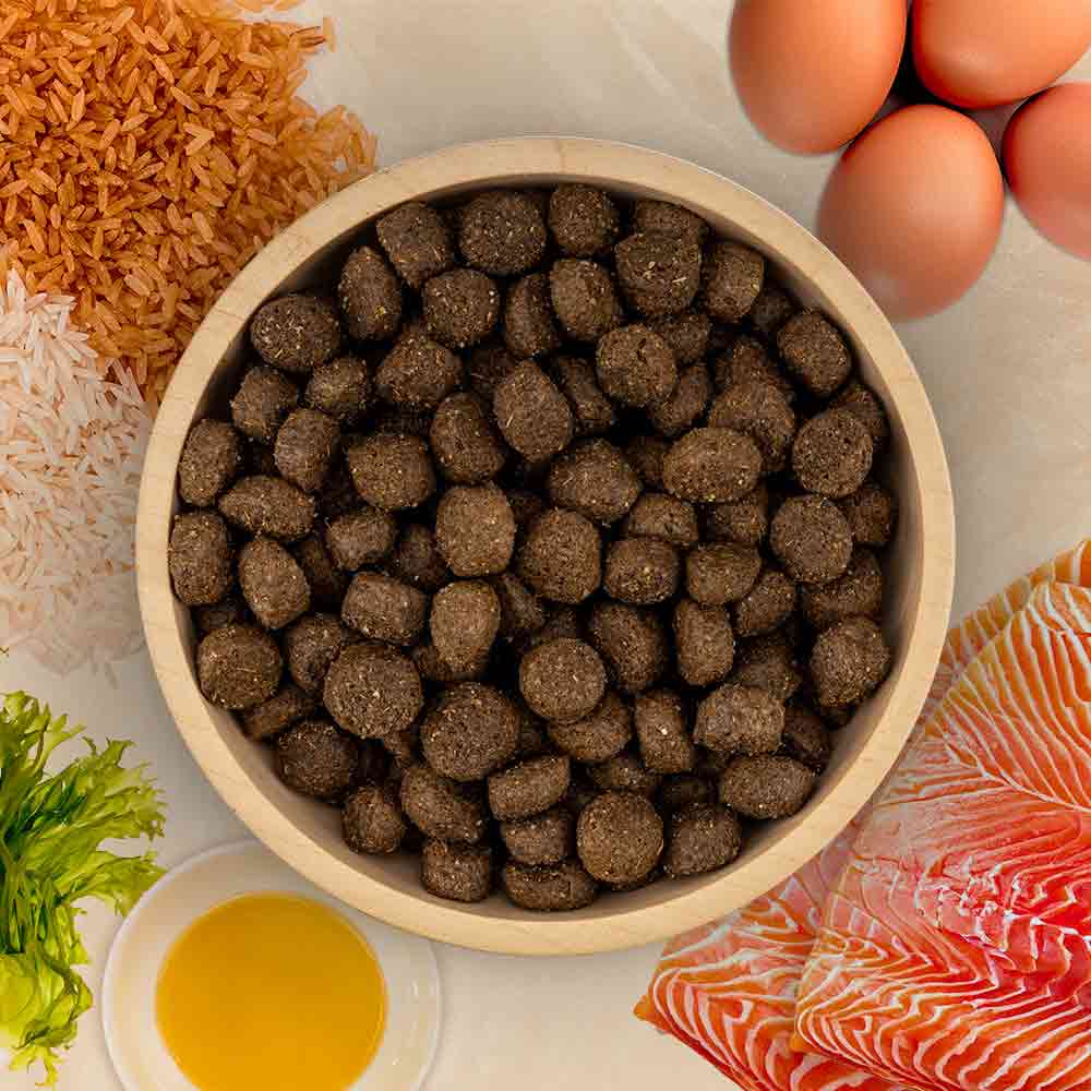 Ramsay Originals Adult Dry Dog Food - Salmon & Rice