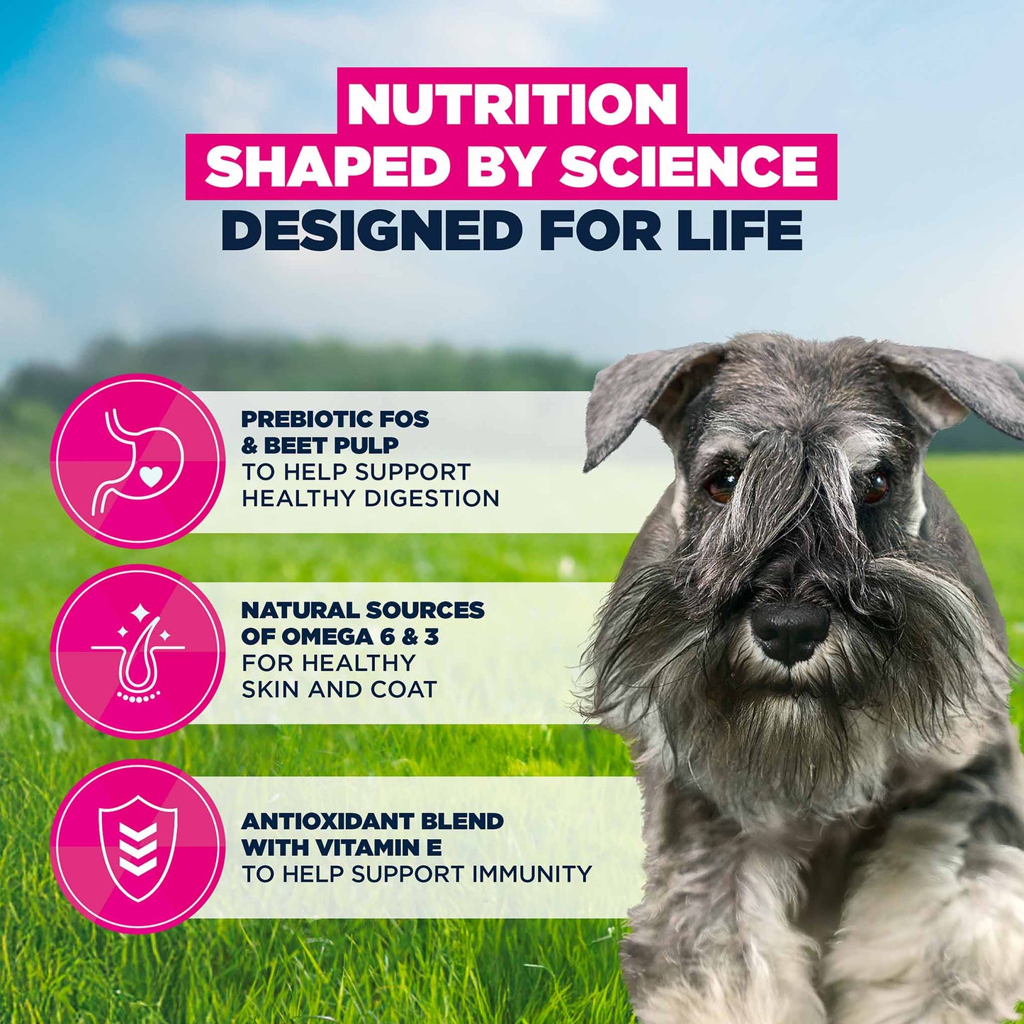 Eukanuba Small Breed Adult Dry Dog Food - Chicken