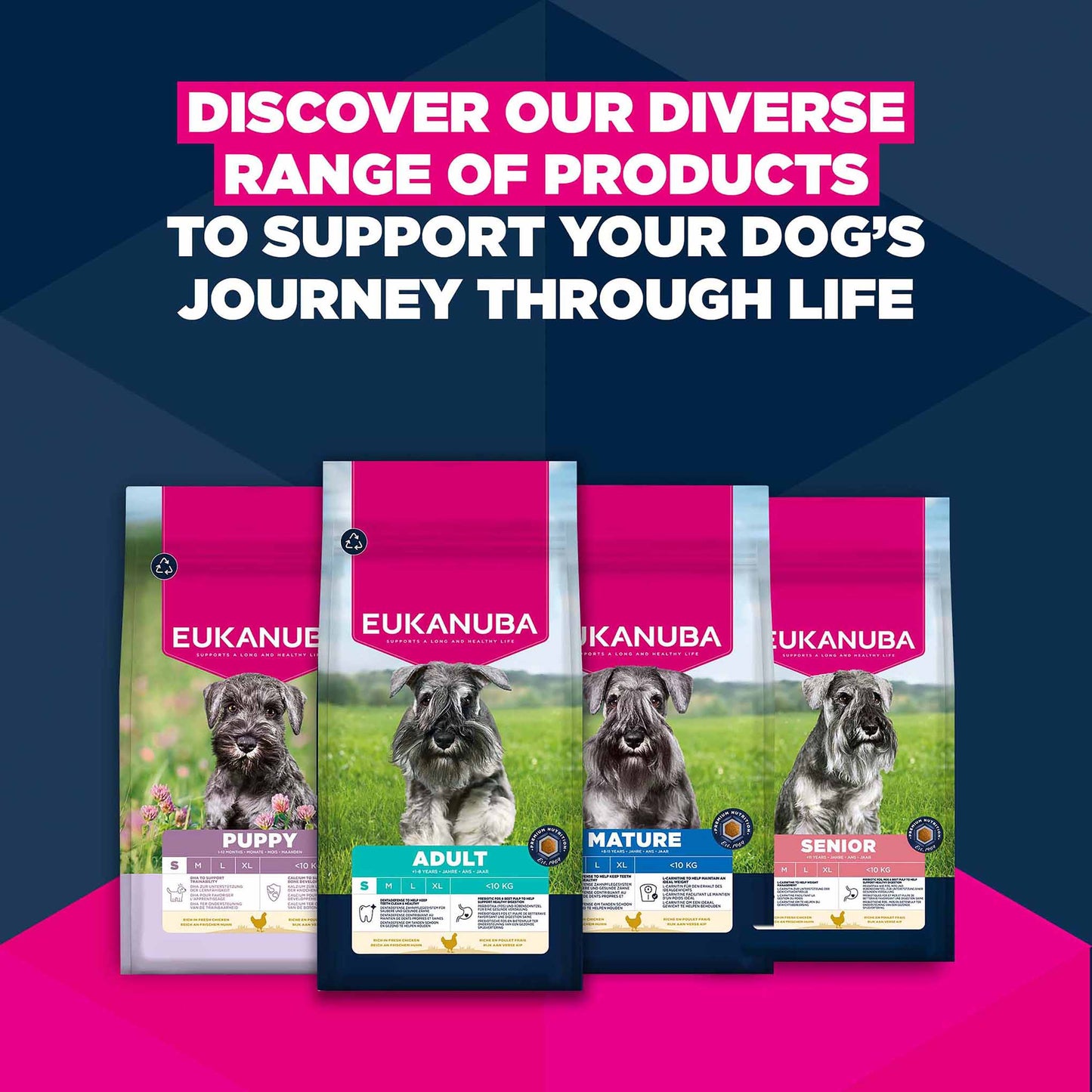 Eukanuba Small Breed Adult Dry Dog Food - Chicken