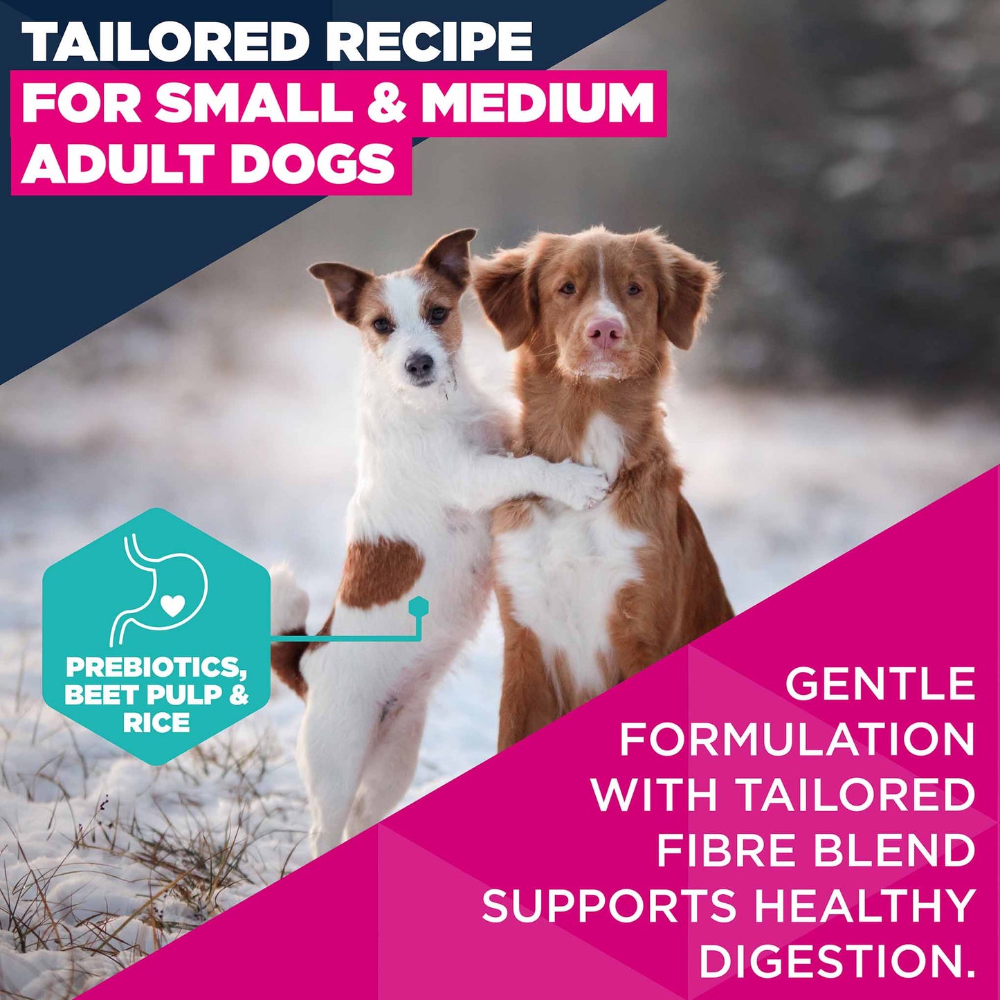 Eukanuba Small/Medium Breed Adult Dry Dog Food - Lamb & Rice