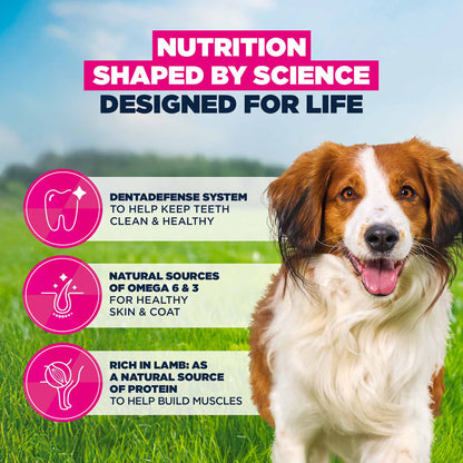 Eukanuba Small/Medium Breed Adult Dry Dog Food - Lamb & Rice