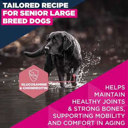 Eukanuba Large Breed Senior Dry Dog Food - Chicken