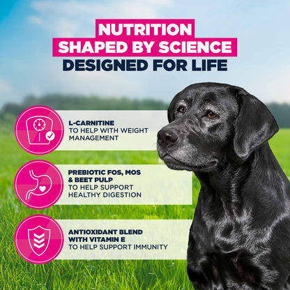 Eukanuba Large Breed Senior Dry Dog Food - Chicken