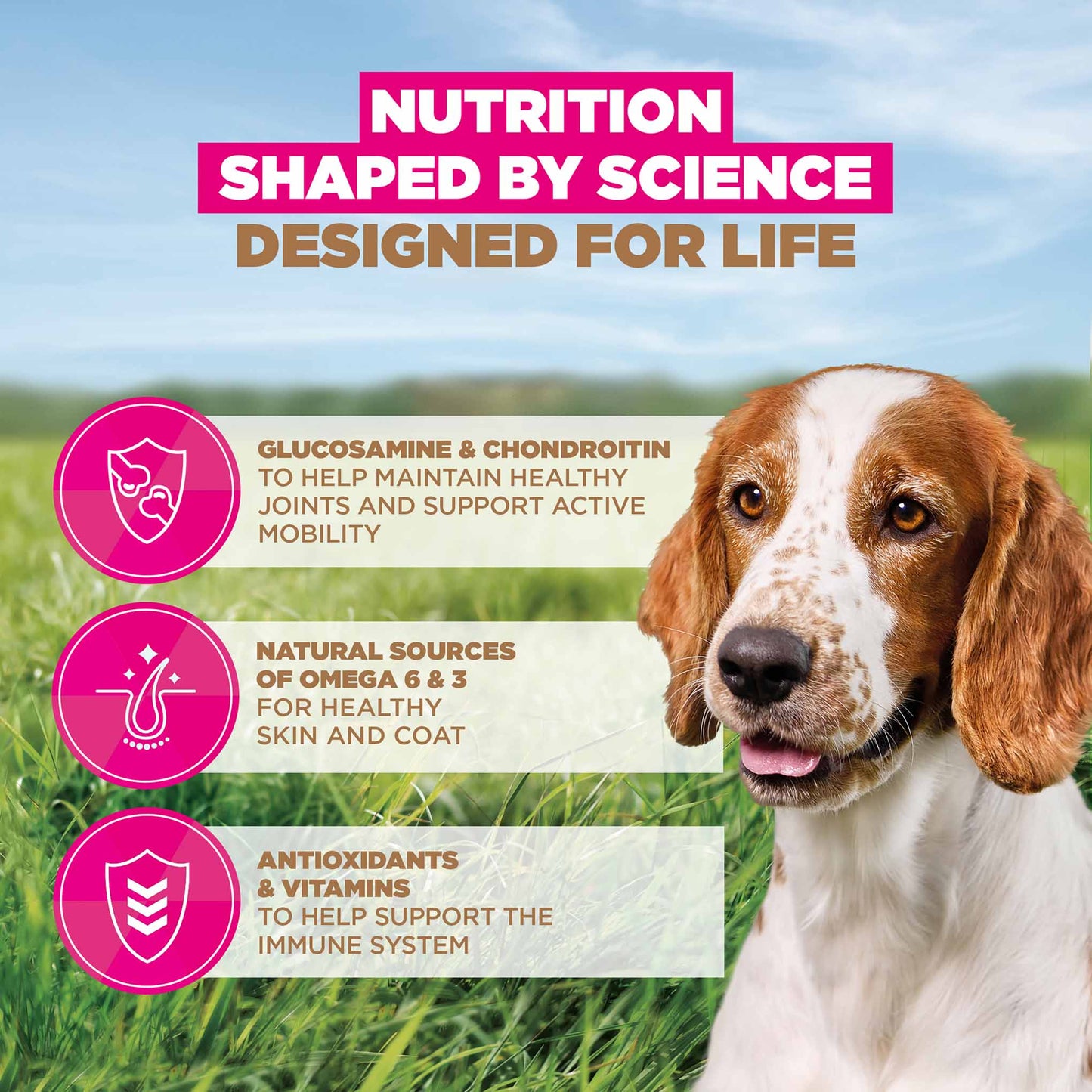 Eukanuba Grain Free Small/Medium Breed Senior Dry Dog Food - Ocean Fish