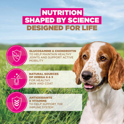 Eukanuba Grain Free Small/Medium Breed Senior Dry Dog Food - Ocean Fish