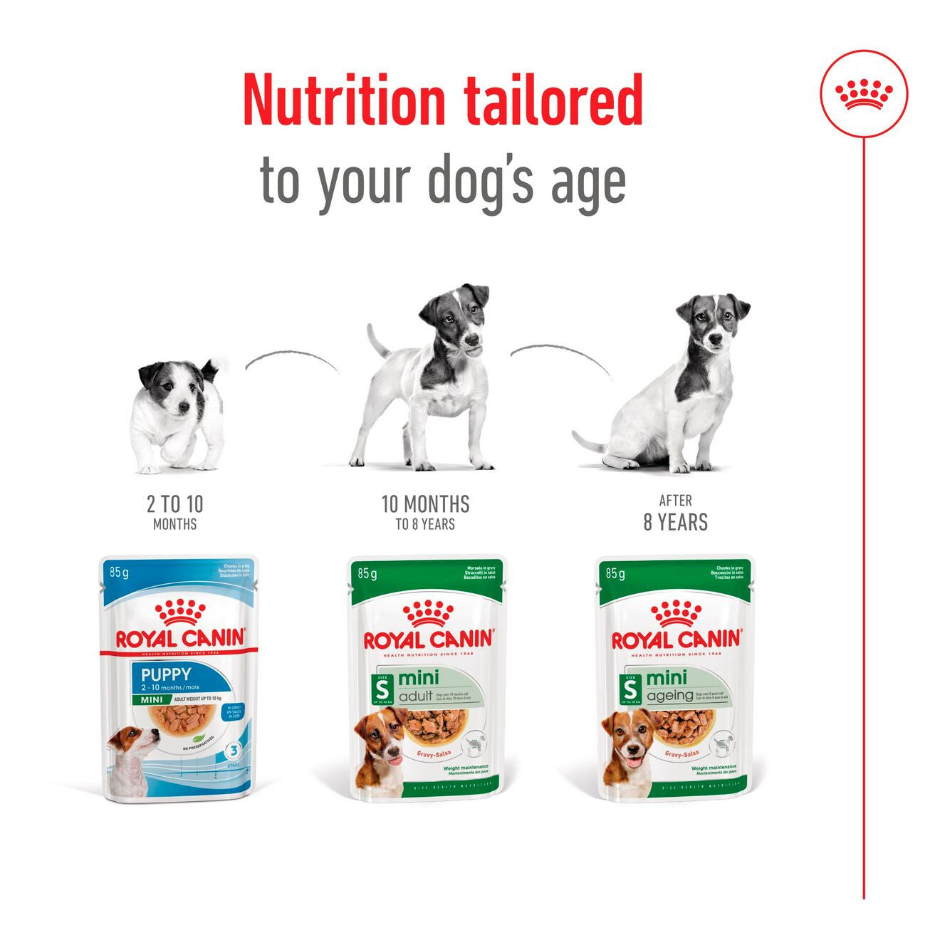 Royal Canin Size Health Nutrition Mini Adult Wet Dog Food in Gravy - 12x85g Pouches