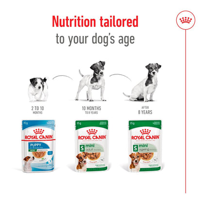 Royal Canin Size Health Nutrition Mini Adult Wet Dog Food in Gravy - 12x85g Pouches