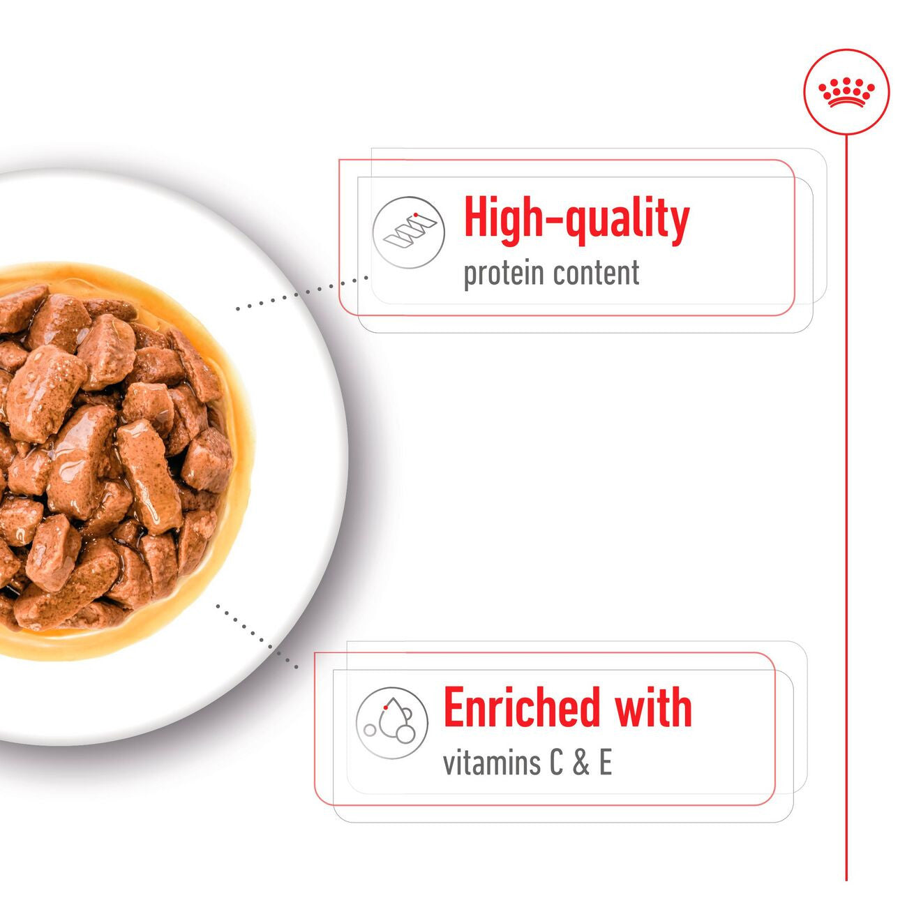 Royal Canin Size Health Nutrition Medium Adult Wet Dog Food in Gravy - 10x140g Pouches