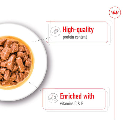 Royal Canin Size Health Nutrition Medium Adult Wet Dog Food in Gravy - 10x140g Pouches