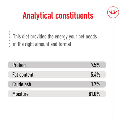 Royal Canin Size Health Nutrition Medium Adult Wet Dog Food in Gravy - 10x140g Pouches