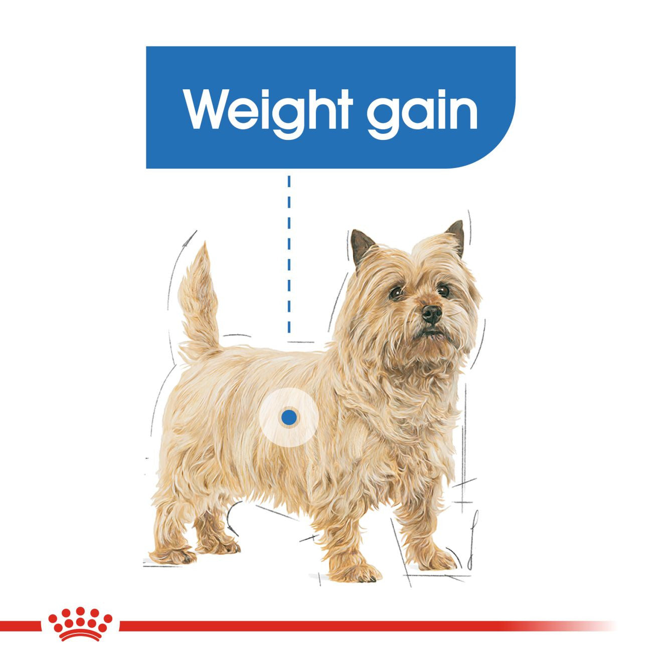 Royal Canin Light Weight Care Adult Wet Dog Food in Loaf - 12x85g Pouches