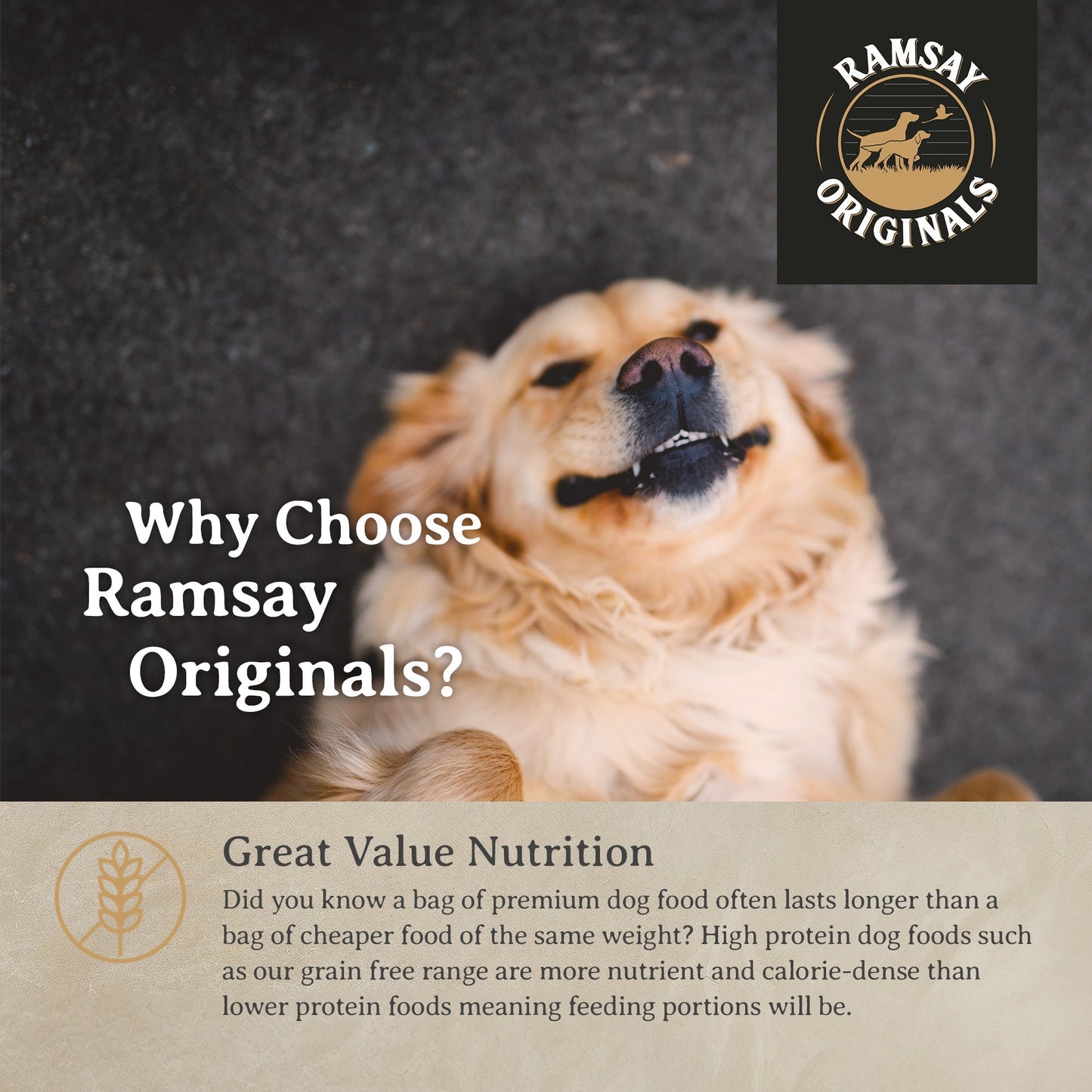 Ramsay Originals Adult Dry Dog Food - Salmon & Rice